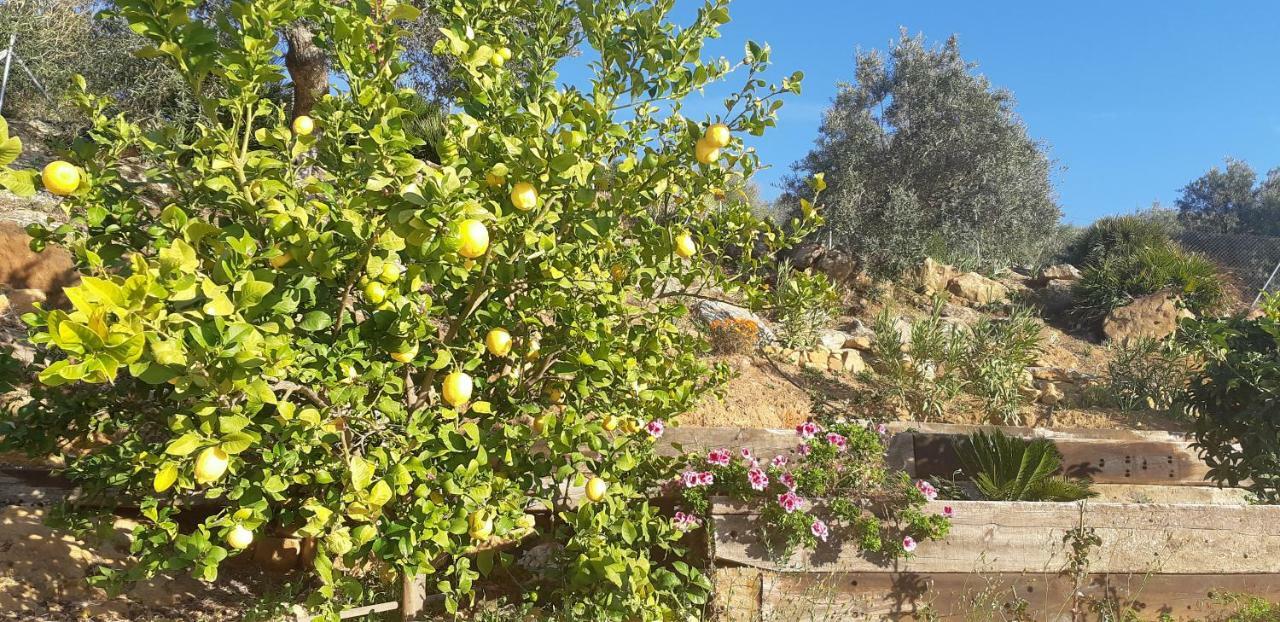Villa Rural El Mirador Alora Bagian luar foto